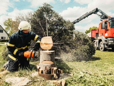 Tree surgeons Fakesville