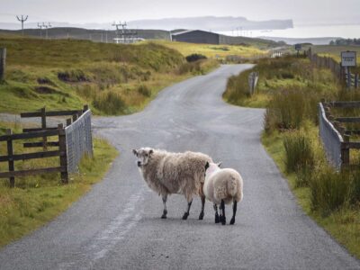 Farm road contractors near me Fakesville