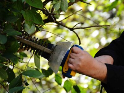 Hedge trimming services near me Fakesville