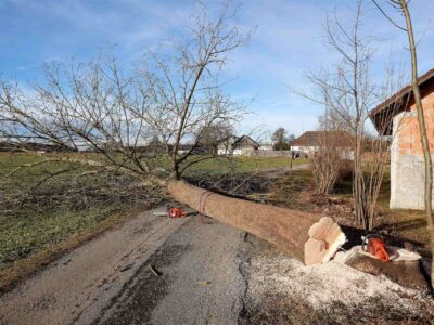 Site clearance Fakesville