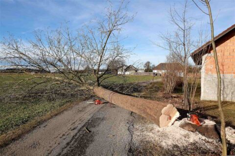 Tree Felling near me Fakesville SO45